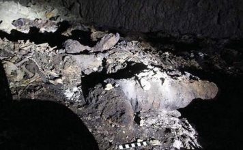 В Египте нашли массовое захоронение 8 миллионов собак
