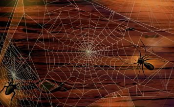 Итальянский миф о тарантуле и легенда о пауках-изгнанниках из Германии