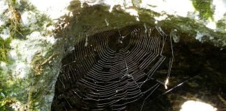 Миф о пророке Мухаммеде и легенда о Паучьей скале