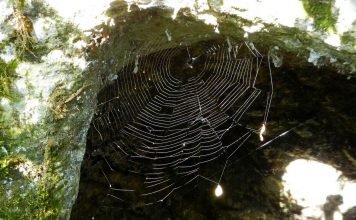 Миф о пророке Мухаммеде и легенда о Паучьей скале