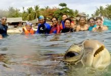 Лучшие животные-бомберы