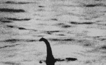 Лохнесское чудовище – выживший плезиозавр или мистификация