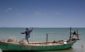 В Новой Зеландии рыбака преследовала гигантская акула