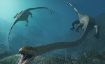 Танистрофей – ящер с невероятно длинной шеей