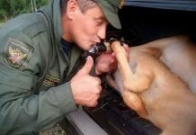 Преподаватель университета убивал животных, чтобы сфотографироваться с ними