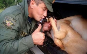 Преподаватель университета убивал животных, чтобы сфотографироваться с ними