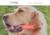 Создано специальное приложение для знакомства собак