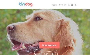 Создано специальное приложение для знакомства собак