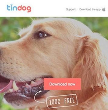 Создано специальное приложение для знакомства собак