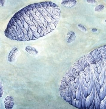 Ученые выяснили как размножались древнейшие организмы планеты