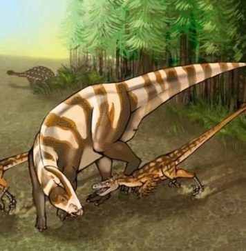 Обнаружен новый вид динозавра, который оказался «супер-нюхачом»