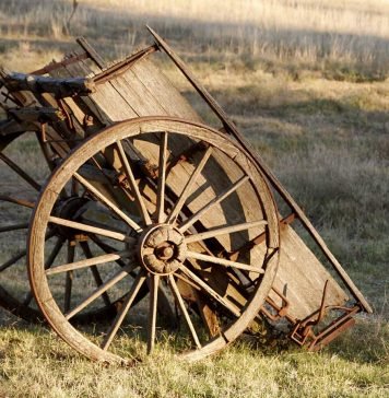 Во Мценске лошадь, испуганная автомобилем, опрокинула пассажиров