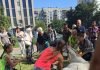 В Санкт-Петербурге лошадь упала в обморок