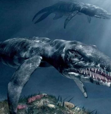 Вымирание древних животных произошло из-за воздействия ядов