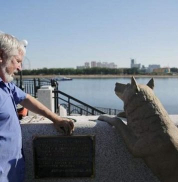 На набережной Благовещенска установлен памятник собаке