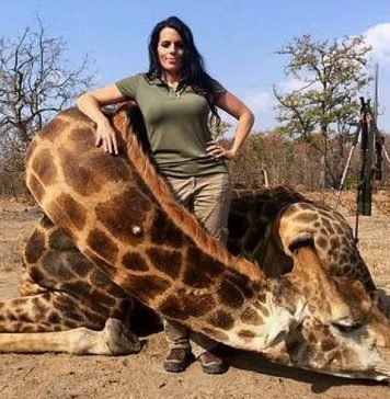 Фото американки с убитым жирафом вызвало волну возмущений в интернете