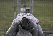 В Канаде прошел «Свинский фестиваль»