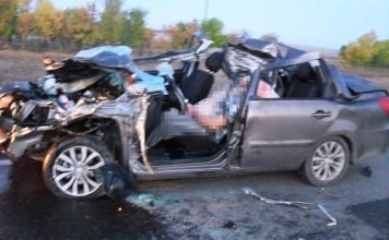 В Оренбургской области иномарка врезалась в табун лошадей, погибли два человека