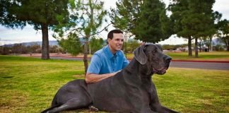 Самые большие домашние животные: гигантские питомцы и их хозяева