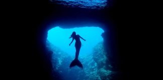 Тайны морских глубин «в объятиях» Русалки Ханны: подводные кадры, захватывающие дух