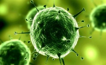 Якутский мамонт поможет создать эликсир молодости