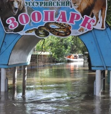 МЧС продолжает эвакуацию животных из Уссурийского зоопарка