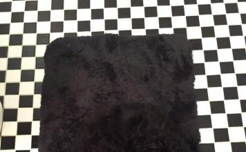 Собака-«невидимка» заинтриговала пользователей интернета