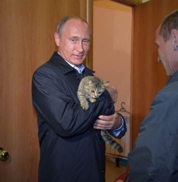 В Хакасии Владимир Путин сфотографировался с кошкой