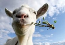 В Вольске мужчина украл козу из колонии, а потом съел ее