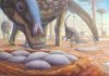 Ученые определили температуру тела динозавров: помогла яичная скорлупа