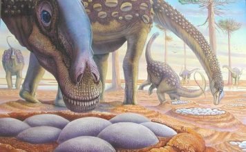 Ученые определили температуру тела динозавров: помогла яичная скорлупа