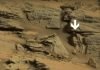 На Марсе обнаружен скелет ящера