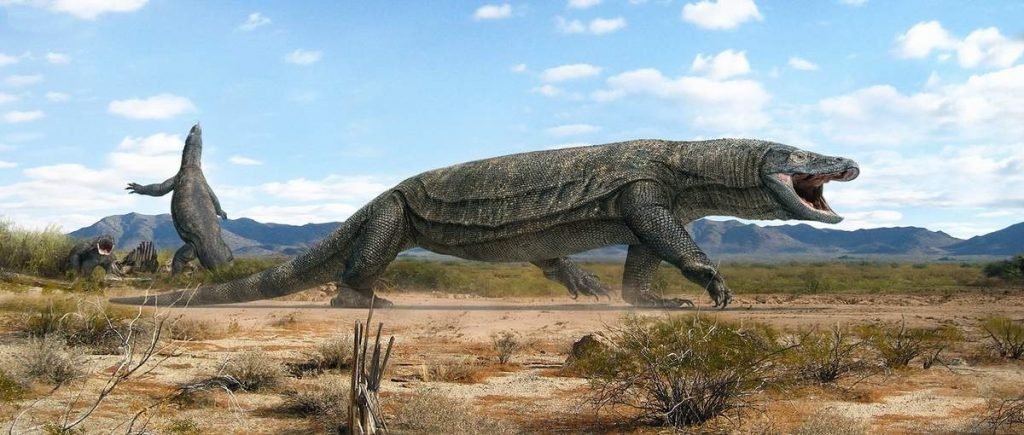 Мегалания (Megalania prisca).