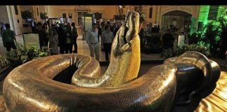 Самая большая змея на Земле