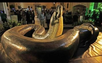 Самая большая змея на Земле