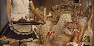 Самые богатые домашние животные