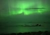 В Норвегии засняли горбатых китов на фоне северного сияния