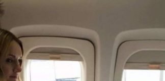 Как перевозить птиц на самолете?