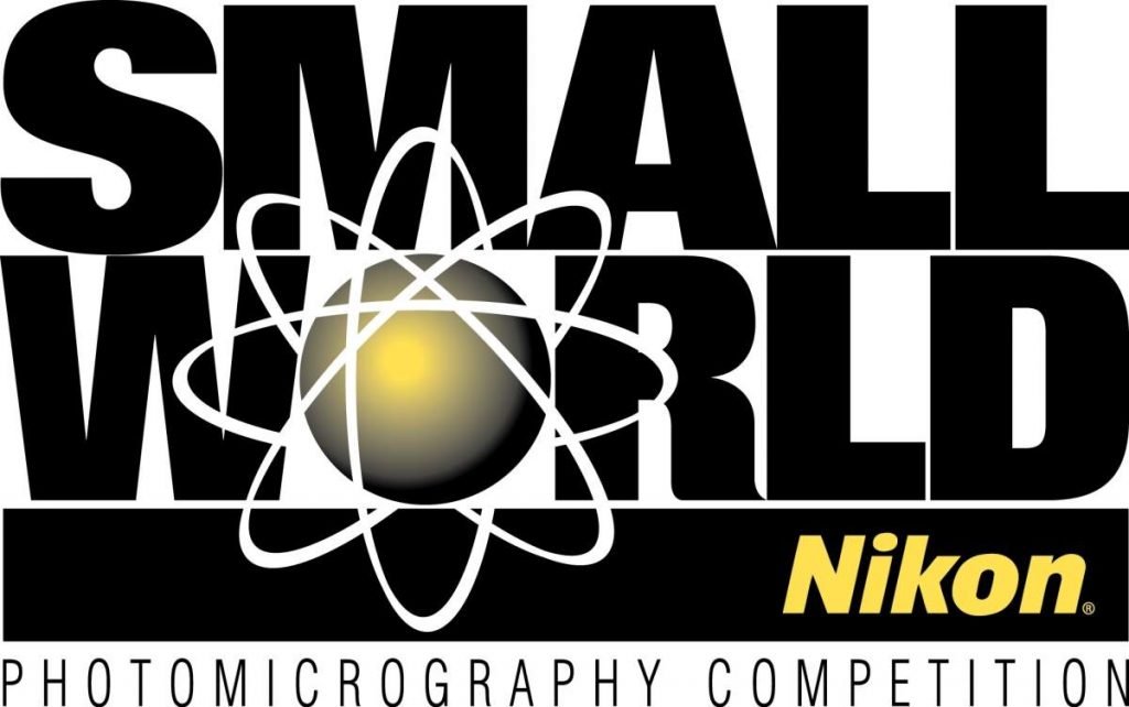 Фотоконкурс "Nikon Small World 2015".