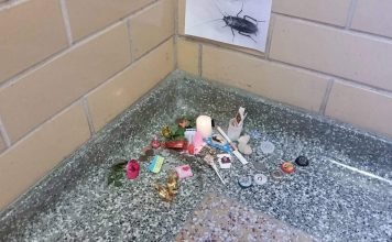 Американские студенты торжественно похоронили таракана