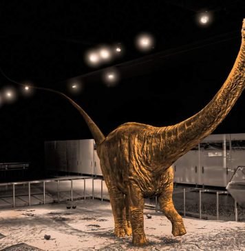 Ученые нашли останки самого длинного динозавра Палеонтологи нашли самого длинного динозавра.
