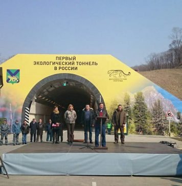 В Приморском крае построили тоннель для леопардов На открытии тоннеля присутствовал Сергей Иванов.