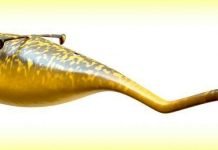 Загадка монстра Тулли разгадана Ученые разгадали тайну монстра Тулли.