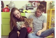 В Нижнем Новгороде один из жителей поселил в квартире льва Новгородчане завели львенка в качестве домашнего любимца.