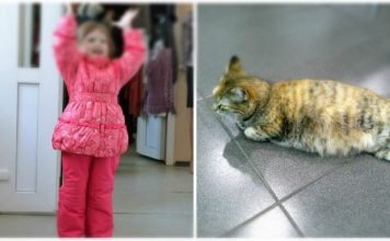 В Пензе девочка-живодер издевалась над животными "Девочка-живодер" - так называют пензенцы ребенка, издевающегося над животными.