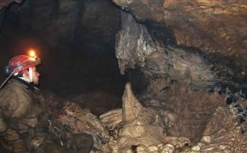 В алтайской пещере обнаружено четыре новых вида животных В пещере Кек-Таш найдены неизвестные виды животных.