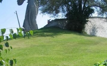 Мамаев курган пострадал от диких кабанов Мамаев курган может пострадать от диких кабанов.