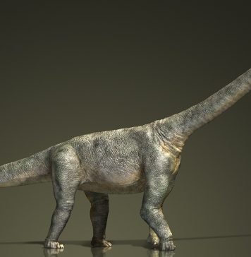 В Монголии найден самый большой динозавр В Монголии найден самый большой динозавр.