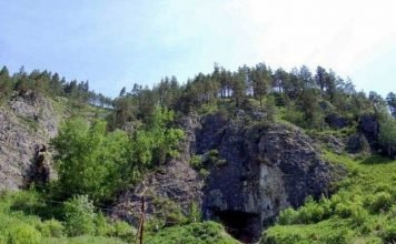 На Алтае обнаружены останки необычной древней лошади Денисова пещера: именно здесь были обнаружены останки древней зеброослоподобной лошади и денисовского человека.