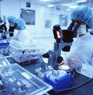 Стало известно, какие сны видят животные Работа в лаборатории принесла плоды, и теперь стало ясно, какие сны видят животные.